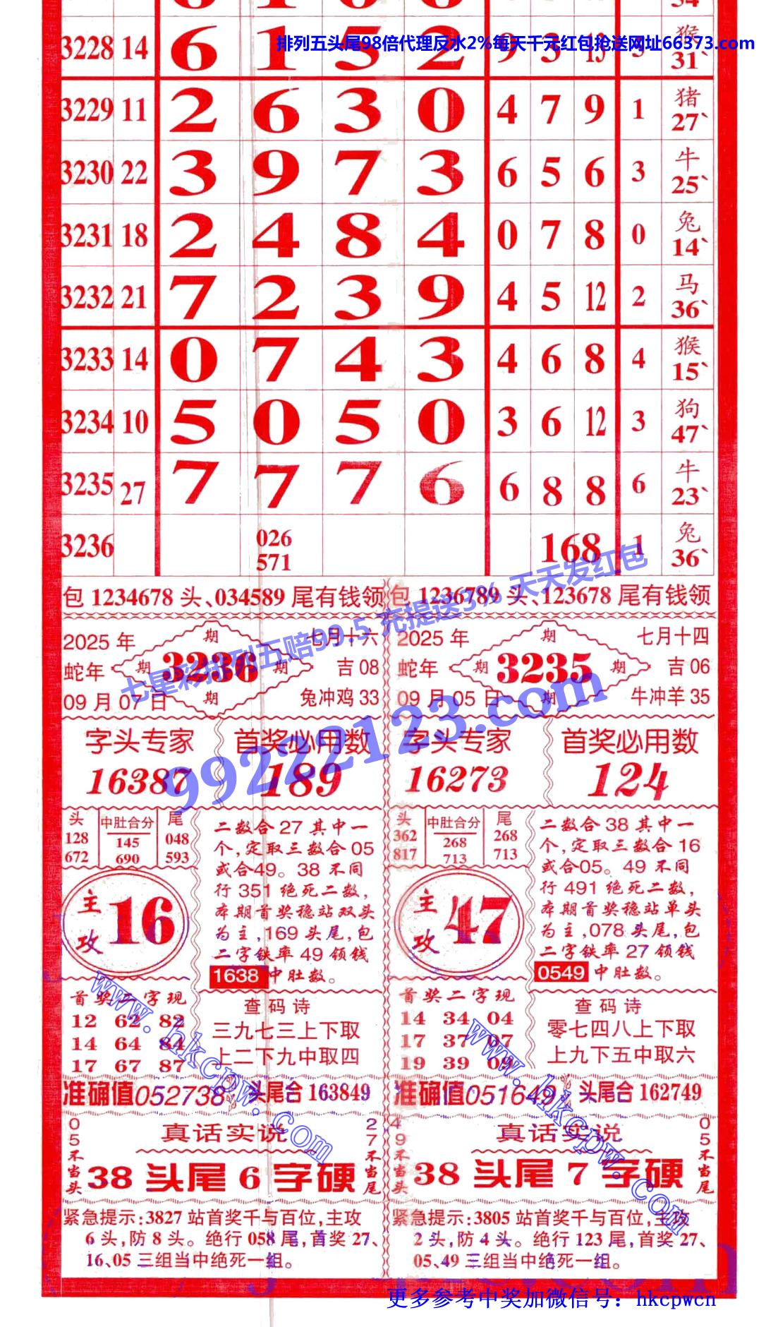 ������ (1).jpg