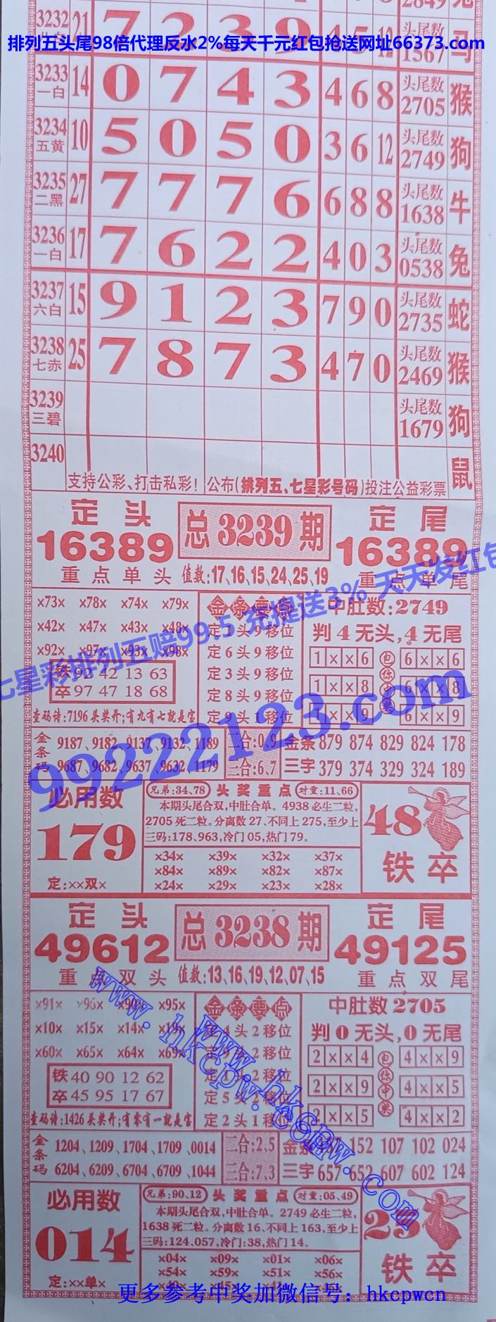 ���� (1).jpg